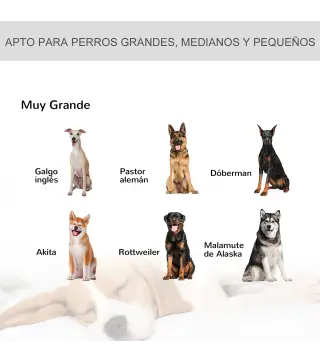 Jaula de Metal para Perros