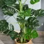 Planta Artificial 100 cm Monstera Artificial Árbol Artificial con 21 Hojas y Maceta para Decoración Hogar Oficina Salón Verde