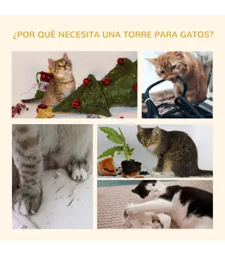 Árbol para Gatos