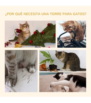 Árbol para Gatos