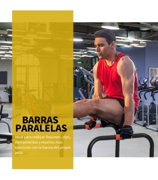Barras Paralelas