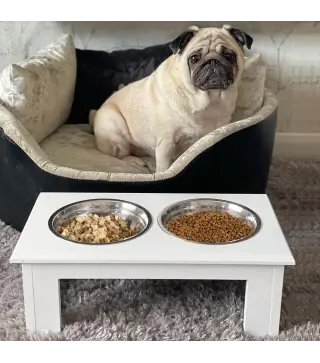 Comedero Elevado para Perros con Soporte y 2 Cuencos Extraíbles de Acero Inoxidable Alimentador para Mascotas Alimento y