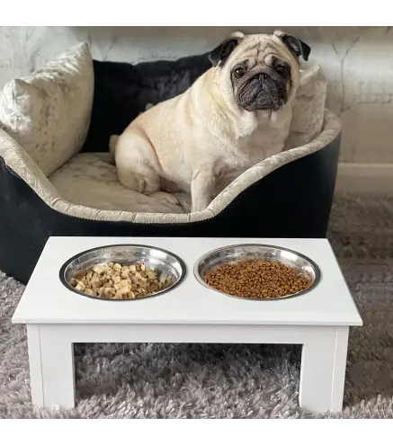 Comedero Elevado para Perros con Soporte y 2 Cuencos Extraíbles de Acero Inoxidable Alimentador para Mascotas Alimento y