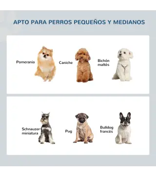 Comedero Elevado para Perros