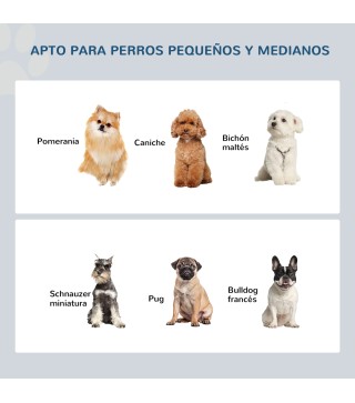 Comedero Elevado para Perros