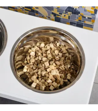 Comedero Elevado para Perros