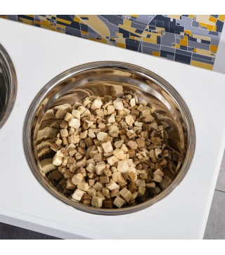 Comedero Elevado para Perros