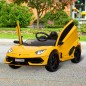 Coche Eléctrico para Niños