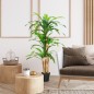 Planta Dracaena Artificial Planta Dracaena Artificial
