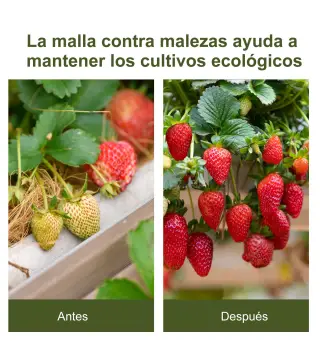 Rollo de Malla Geotextil