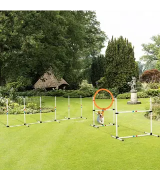 Set de Entrenamiento de Agilidad para Perros con Bolsa de Transporte Incluida 71x67x95 cm Blanco y Naranja
