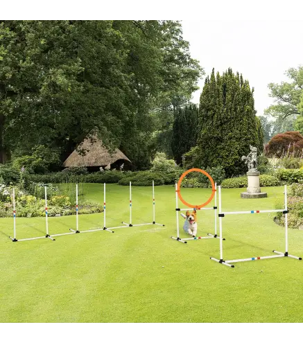 Set de Entrenamiento de Agilidad para Perros con Bolsa de Transporte Incluida 71x67x95 cm Blanco y Naranja