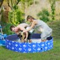 Piscina para Mascotas Piscina para Mascotas