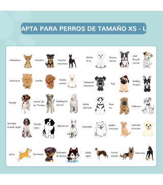 Piscina para Mascotas