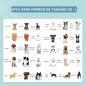 Piscina para Mascotas Piscina para Mascotas