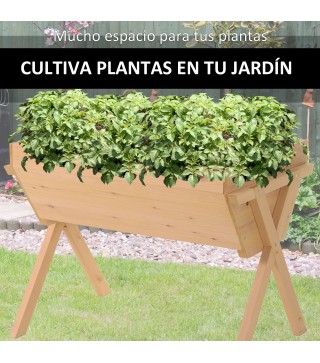 Huerto Urbano