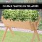 Huerto Urbano Huerto Urbano