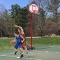 Canasta de Baloncesto Canasta de Baloncesto