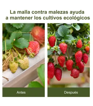 Rollo de Malla Geotextil