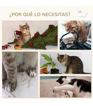 Estantes para Gatos