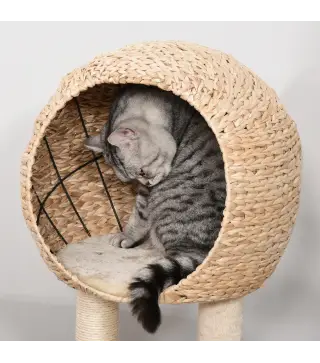 Árbol Rascador para Gatos
