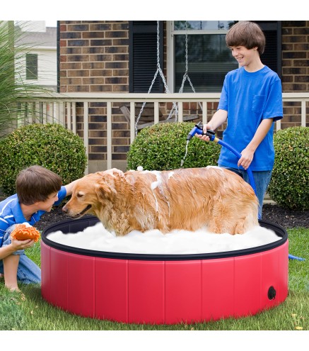 Piscina para Mascotas