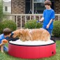 Piscina para Mascotas Piscina para Mascotas
