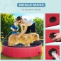 Piscina para Mascotas Piscina para Mascotas