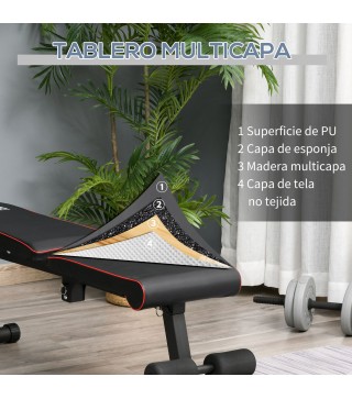 Banco de Musculación