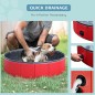 Piscina para Mascotas Piscina para Mascotas
