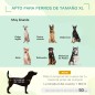 Cama Elevada para Mascotas Cama Elevada para Mascotas