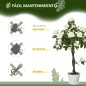 Árbol de Rosa Blanca Artificial