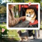 Cochecito para Mascotas
