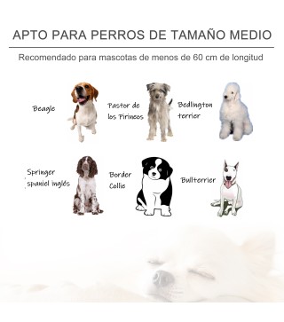 Sofá para Mascotas