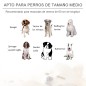 Sofá para Mascotas Sofá para Mascotas