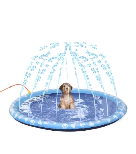 Splash Pad para Mascotas