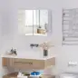 Armario de Baño con Espejo Armario de 2 Puertas con 3 Estantes Interiores Estilo Moderno para Dormitorio Salón 80x15x60