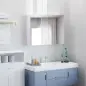 Armario de Baño con Espejo Armario de 2 Puertas con 3 Estantes Interiores Estilo Moderno para Dormitorio Salón 80x15x60