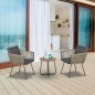 Conjunto de Muebles de Ratán Conjunto de Muebles de Ratán