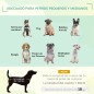 Cama Elevada para Mascotas Cama Elevada para Mascotas