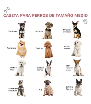 Caseta para Perros