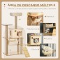 Árbol para Gatos Árbol para Gatos