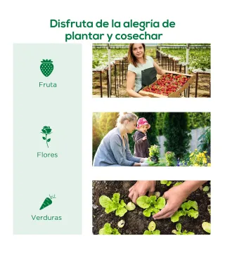 Invernadero Pequeño