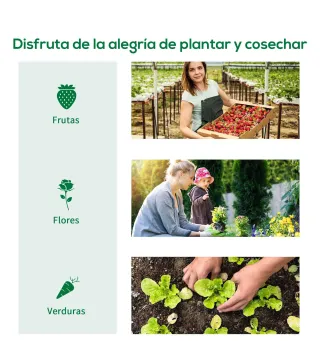 Invernadero de Túnel