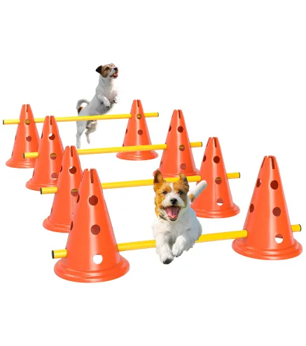 Set Agilidad Perros
