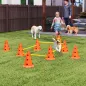Juego de Agilidad para Perros Vallas de Obstáculos de Entrenamiento de Coordinación 8 Conos 8 Barras Bolsa