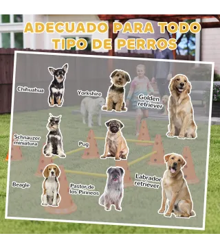 Set Agilidad Perros