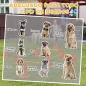 Juego de Agilidad para Perros Vallas de Obstáculos de Entrenamiento de Coordinación 8 Conos 8 Barras Bolsa
