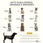 Cama Elevada para Perros Cama Elevada para Perros