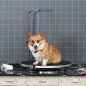 Mesa de Peluquería para Mascotas Mesa de Peluquería para Mascotas